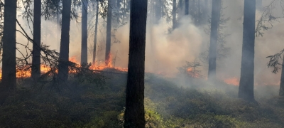 Attēls: Mežos sācies uguns bīstamais periods