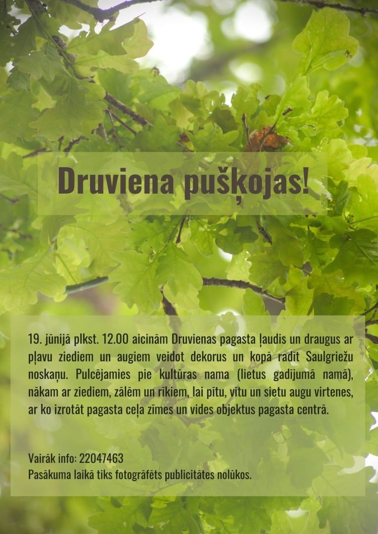 Druvienas pušķošana