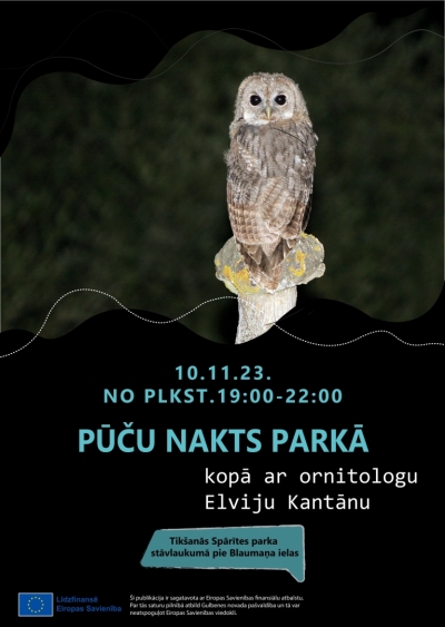 Afiša: Pasākums "Pūču nakts parkā"