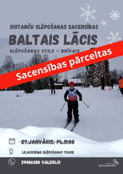 Baltais lācis