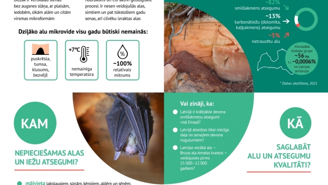 Dabas skaitīšana: alas un atsegumi