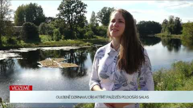 Dzirnavu dīķī ievieto peldošās salas