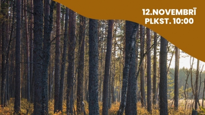 Afiša: Pārgājiens "Izkāp no čībām 2"