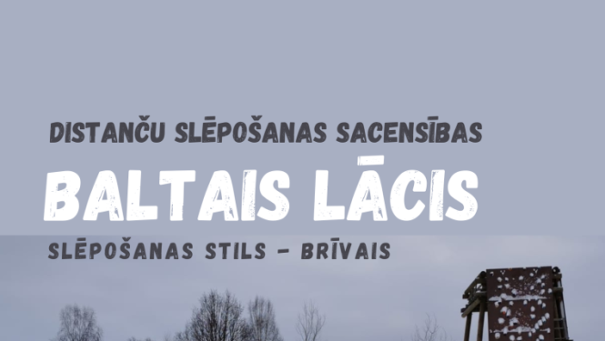 Baltais lācis
