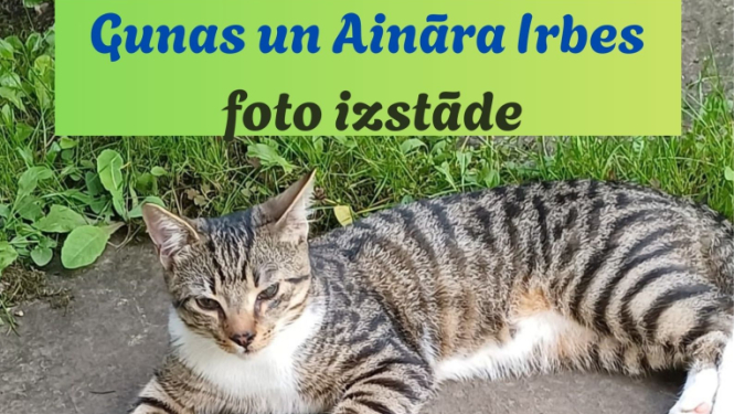 foto