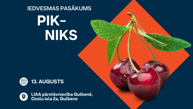 Attēls: iedvesmas pasākums Pikniks_Gulbenē