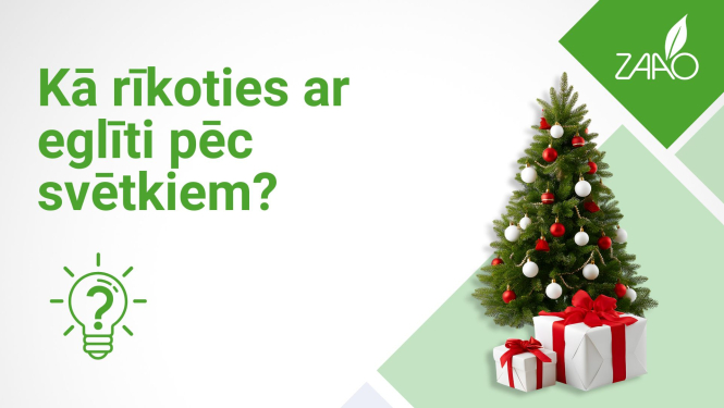 Eglītes