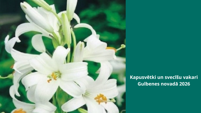 Kapiņi