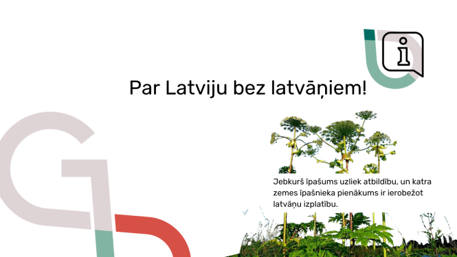 Attēls: latvāņi