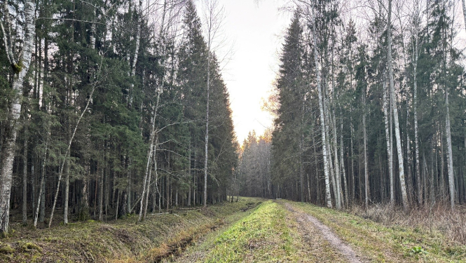 Attēls: Pabeigti kopšanas darbi Emzes parkā