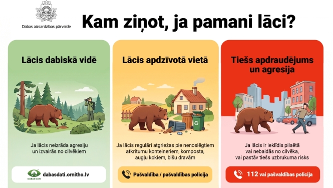 Rīcība