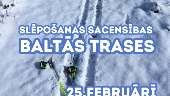Baltās trases