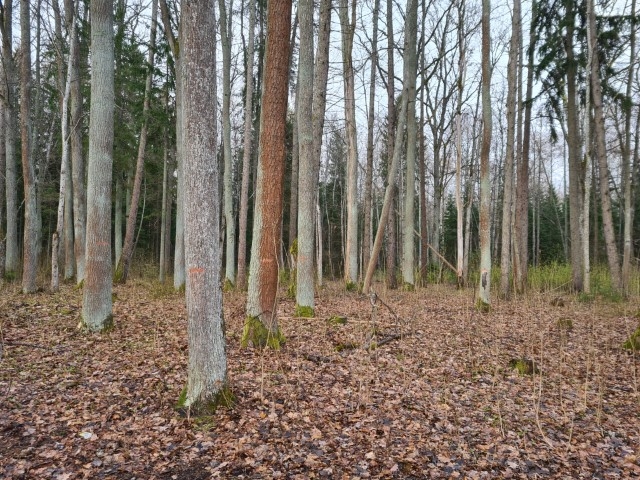 20210426_110258.jpg
