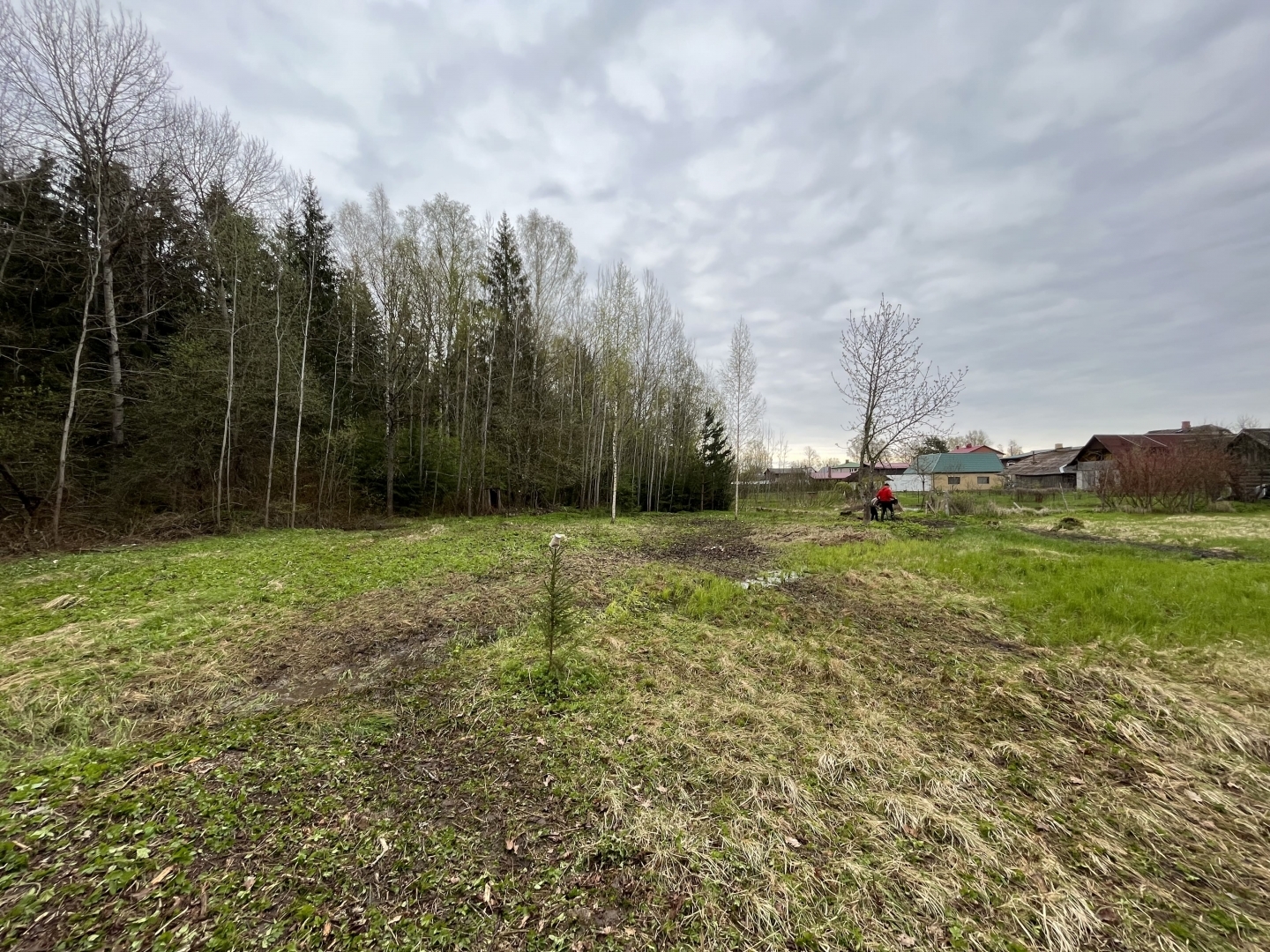 Attēls: Lielā Talka 2024