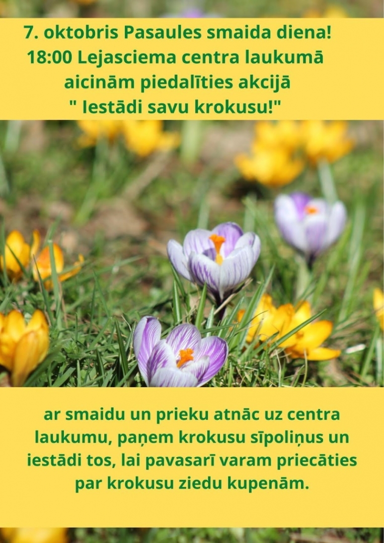 Bilde