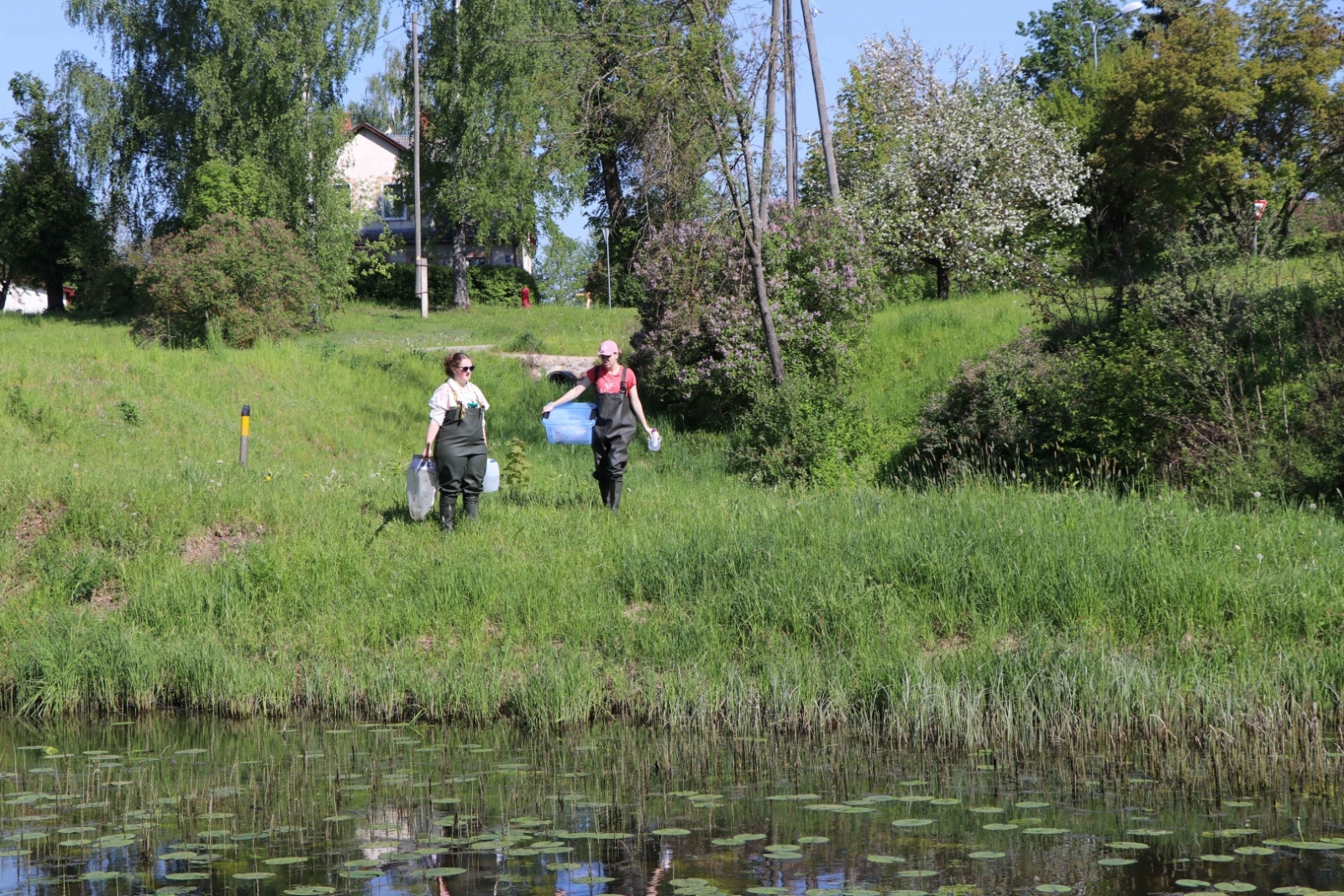 Latvijas Hidroekoloģijas institūta zinātnieki uzsāk Dzirnavu dīķa Gulbenē izpēti.