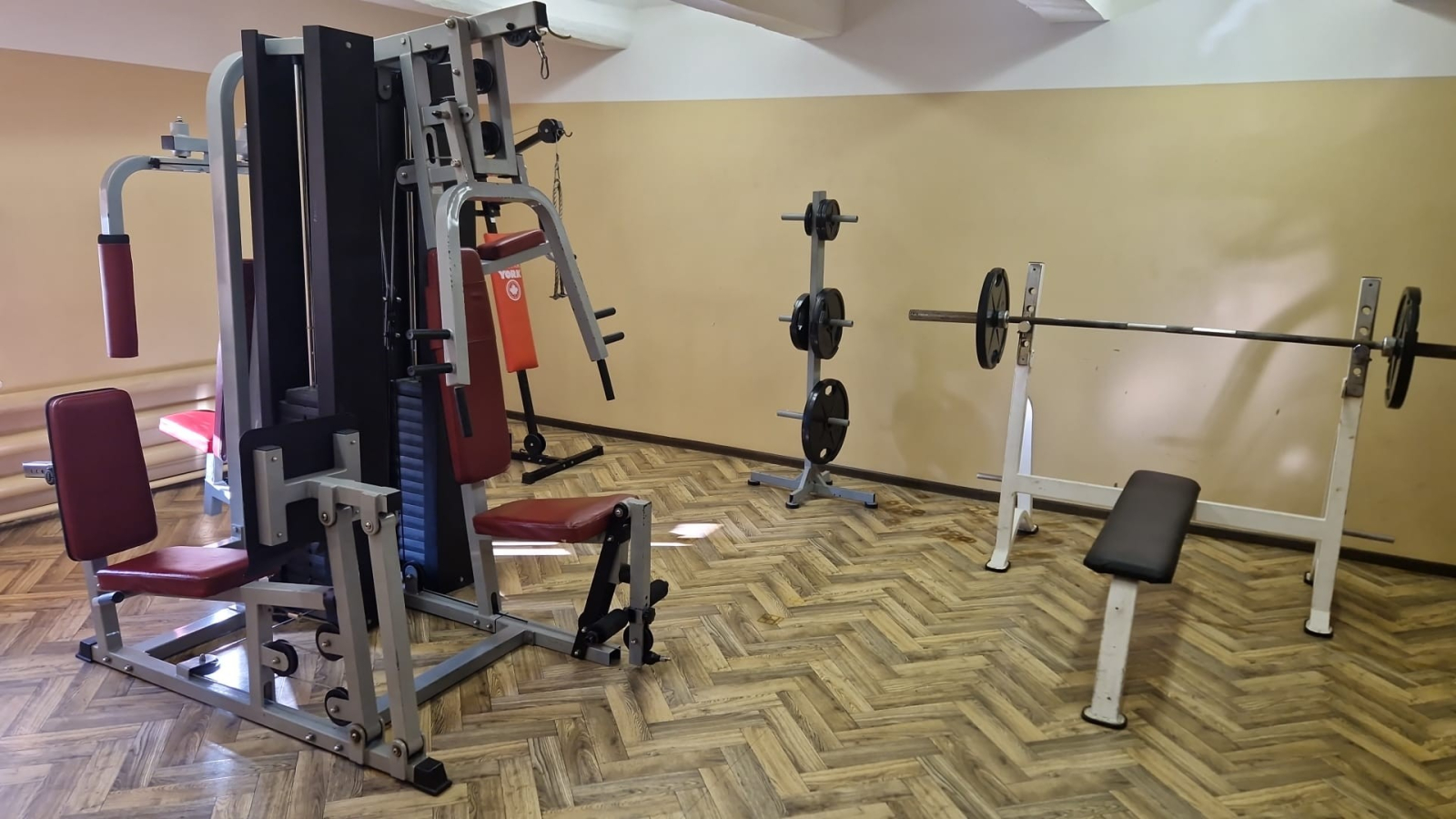 Sporta zāles