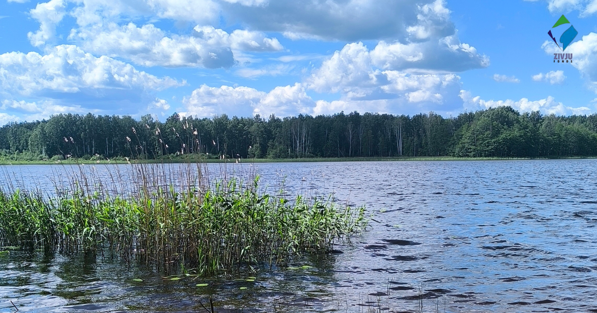 Līdakas