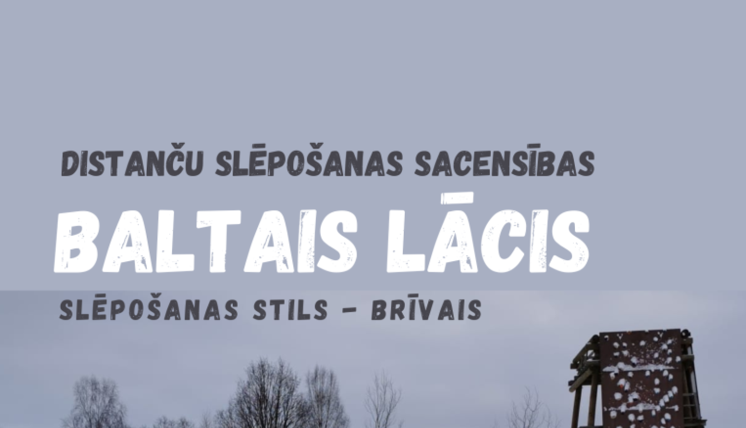 Baltais lācis