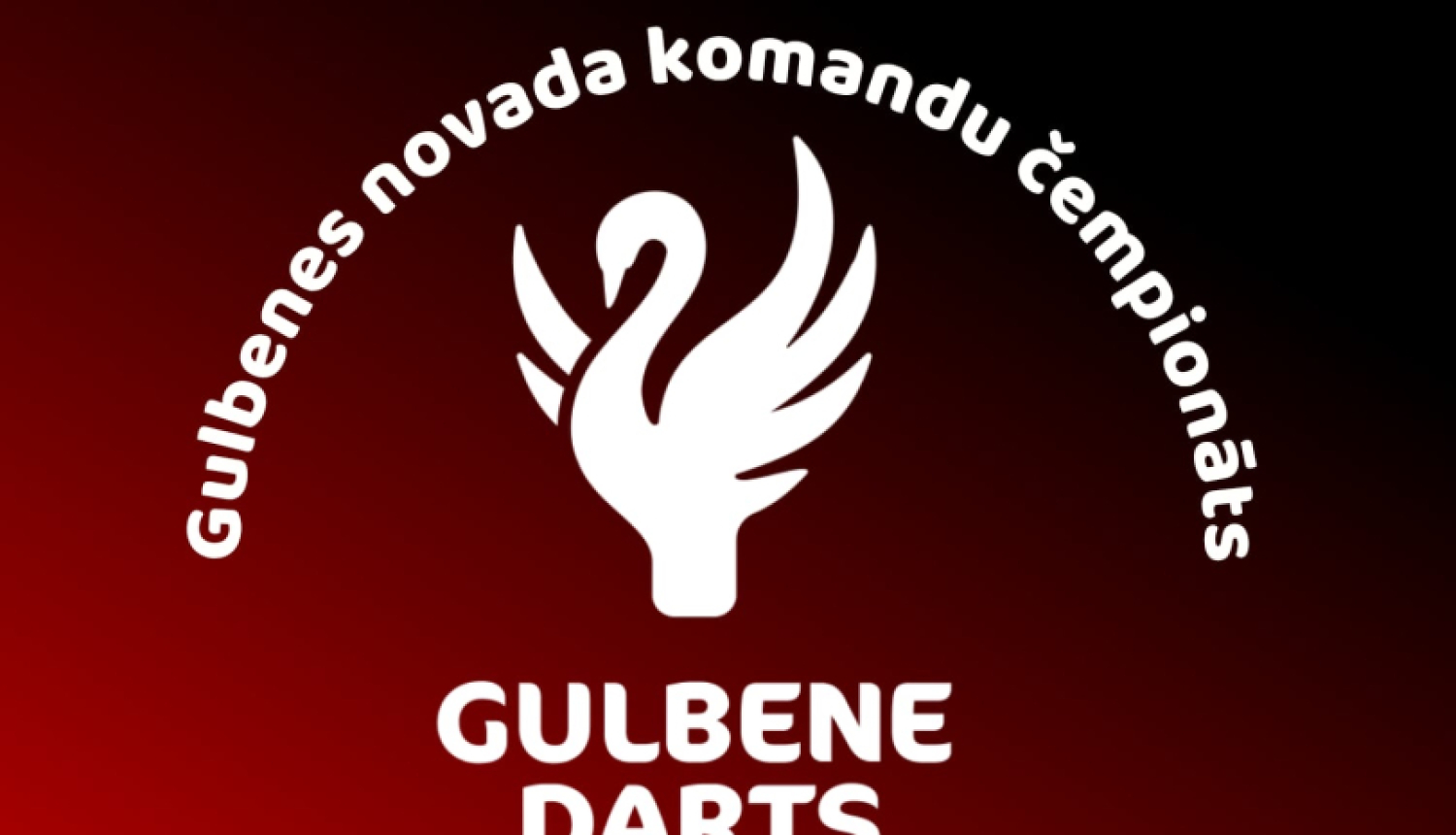 darts