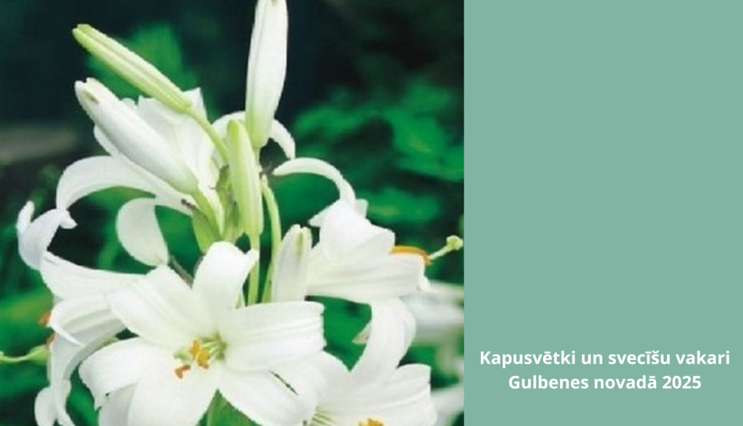 Kapusvētki 2025