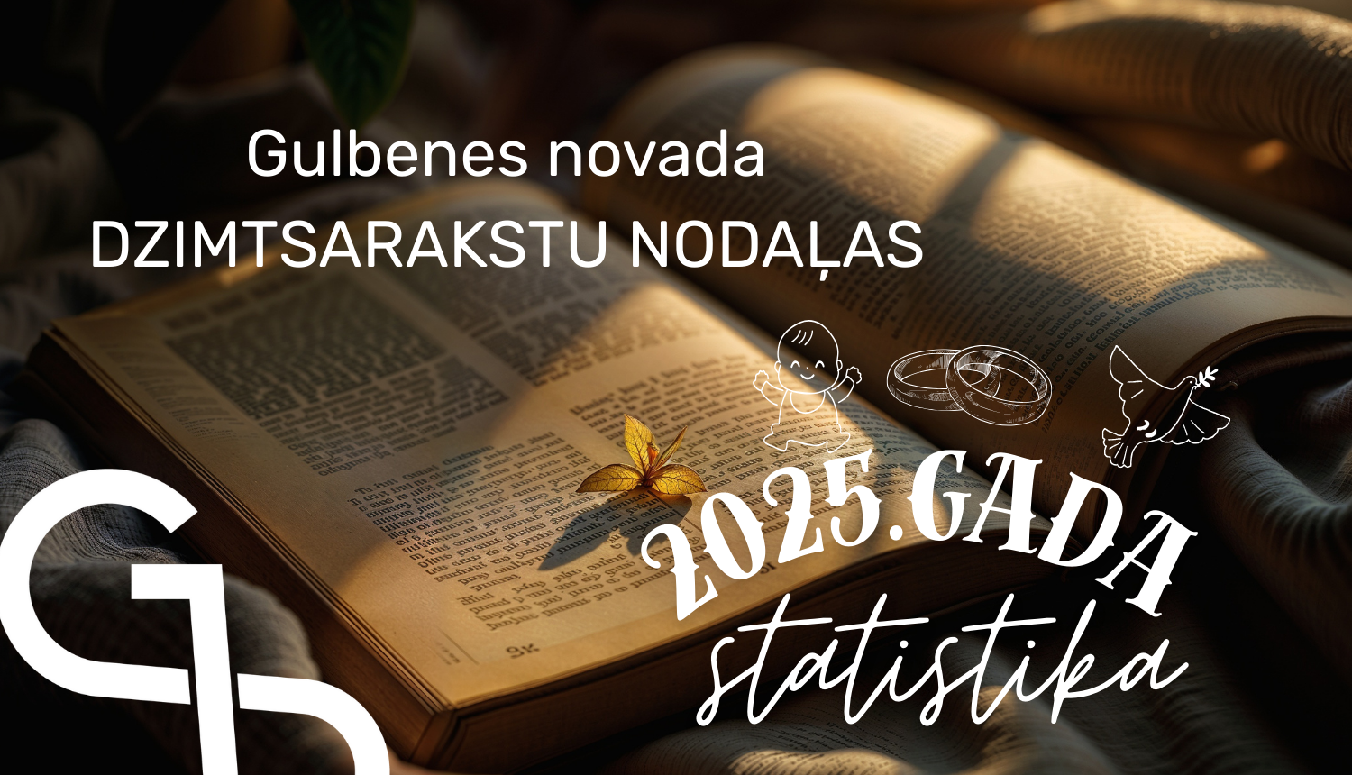 Attēls: Dzimtsarakstu statistika 2025
