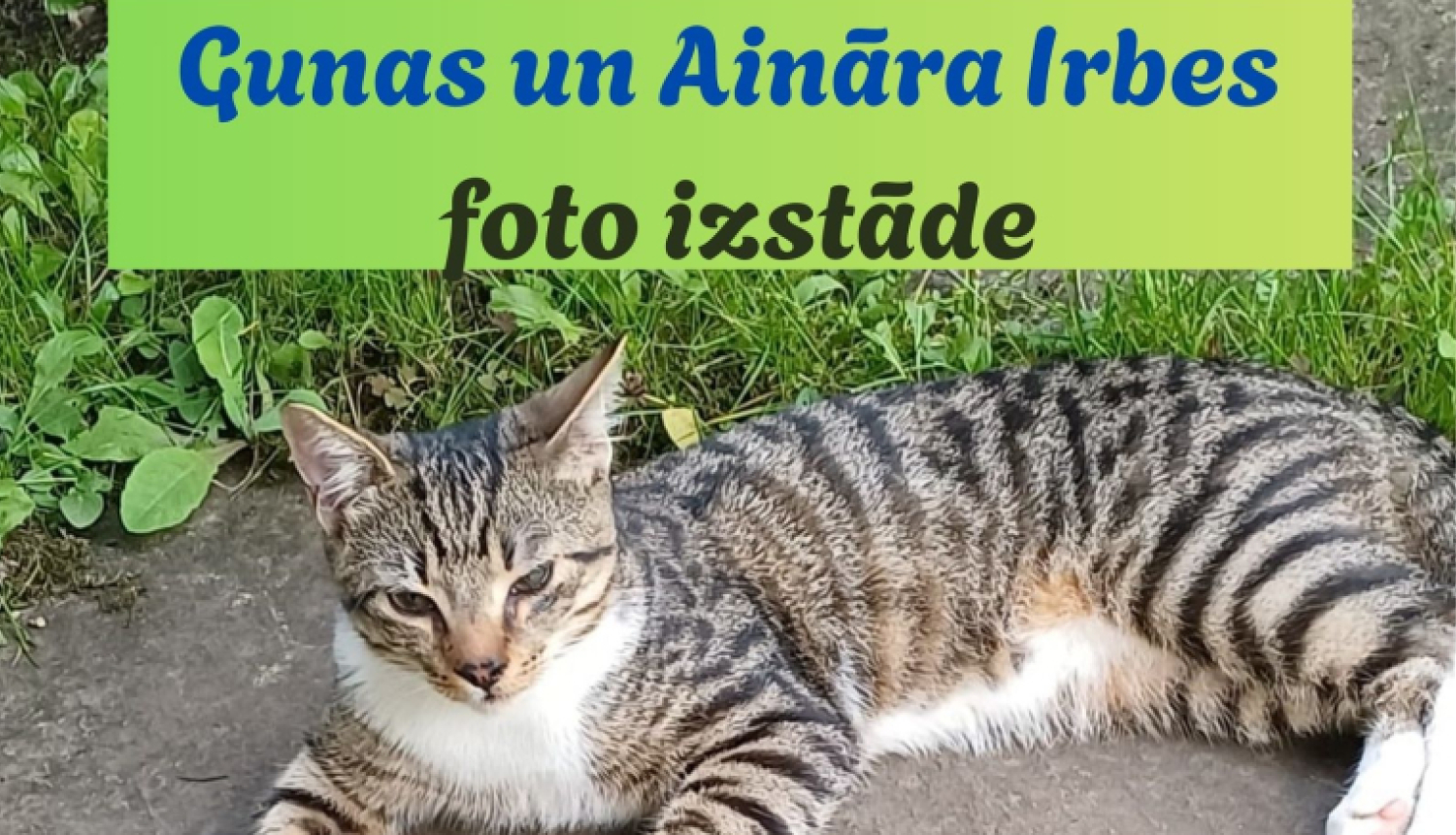 foto