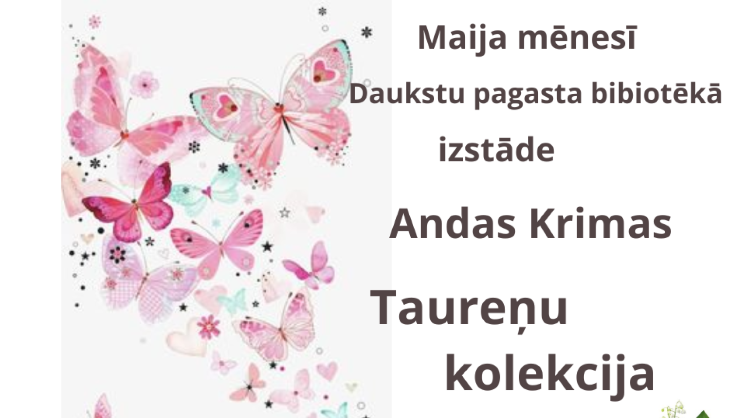 Attēls: Andas Krimas taureņu kolekcijas izstāde.