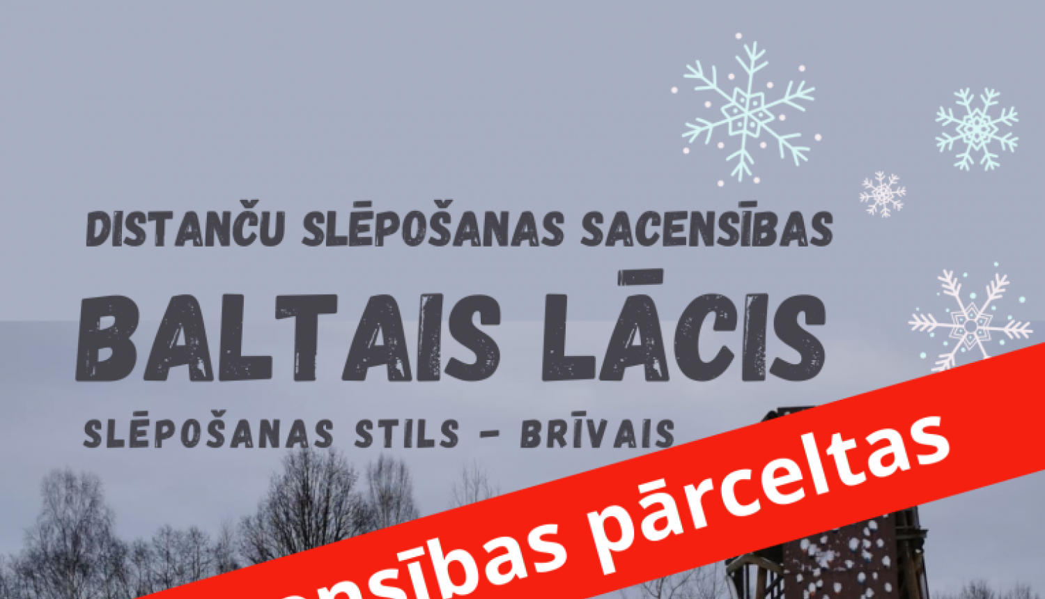 Baltais lācis