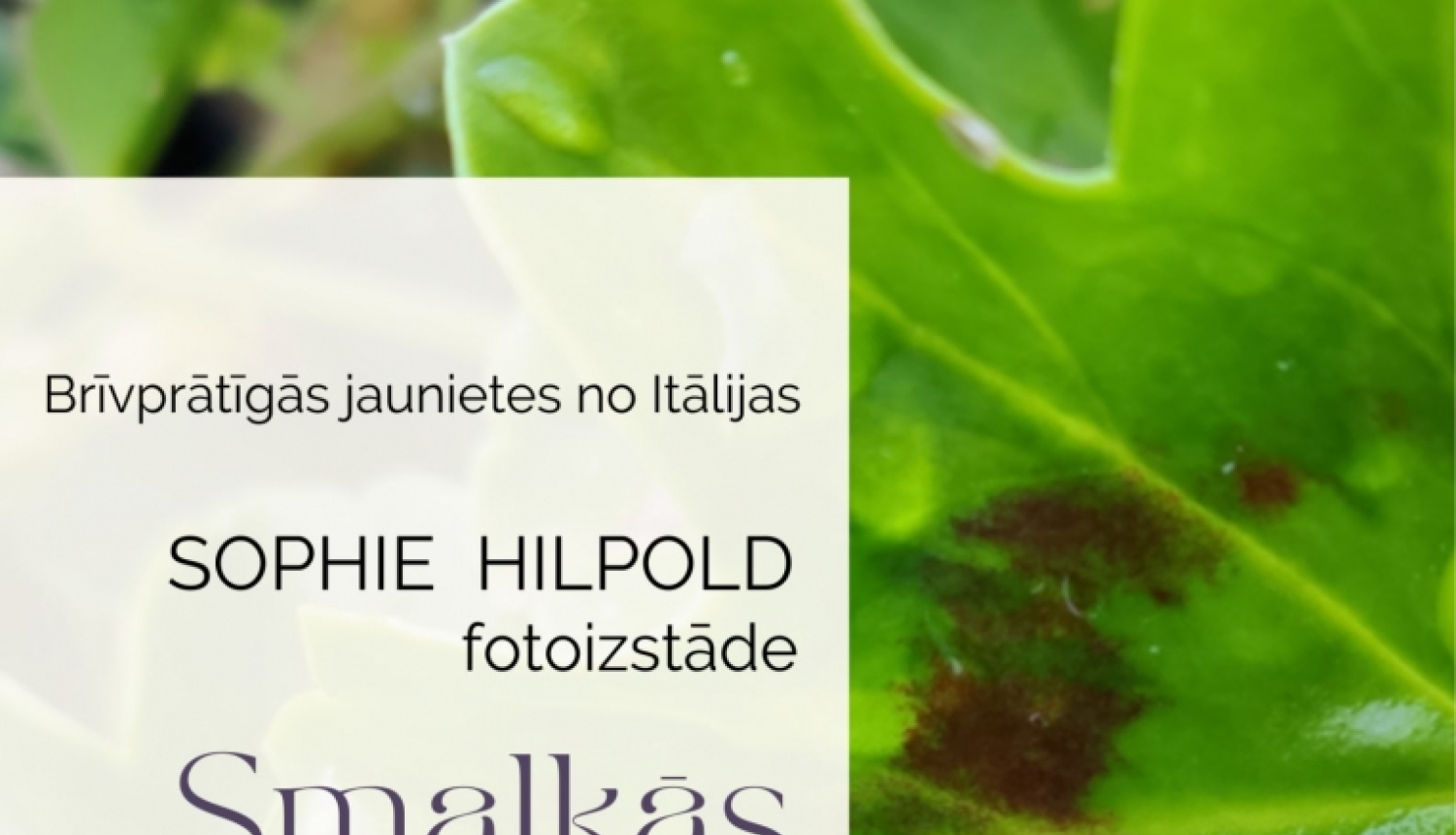 Beļavas pagasta bibliotēkā fotoizstāde "Smalkās nianses dabā"