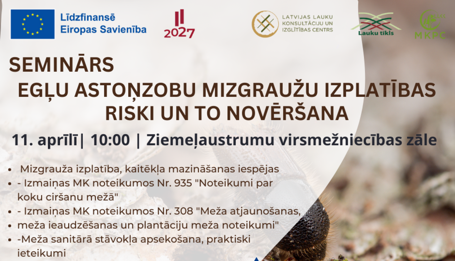 Attēl: Seminārs egļu astoņzobu mizgraužu izplatības riski un to novērtēšana Gulbenē