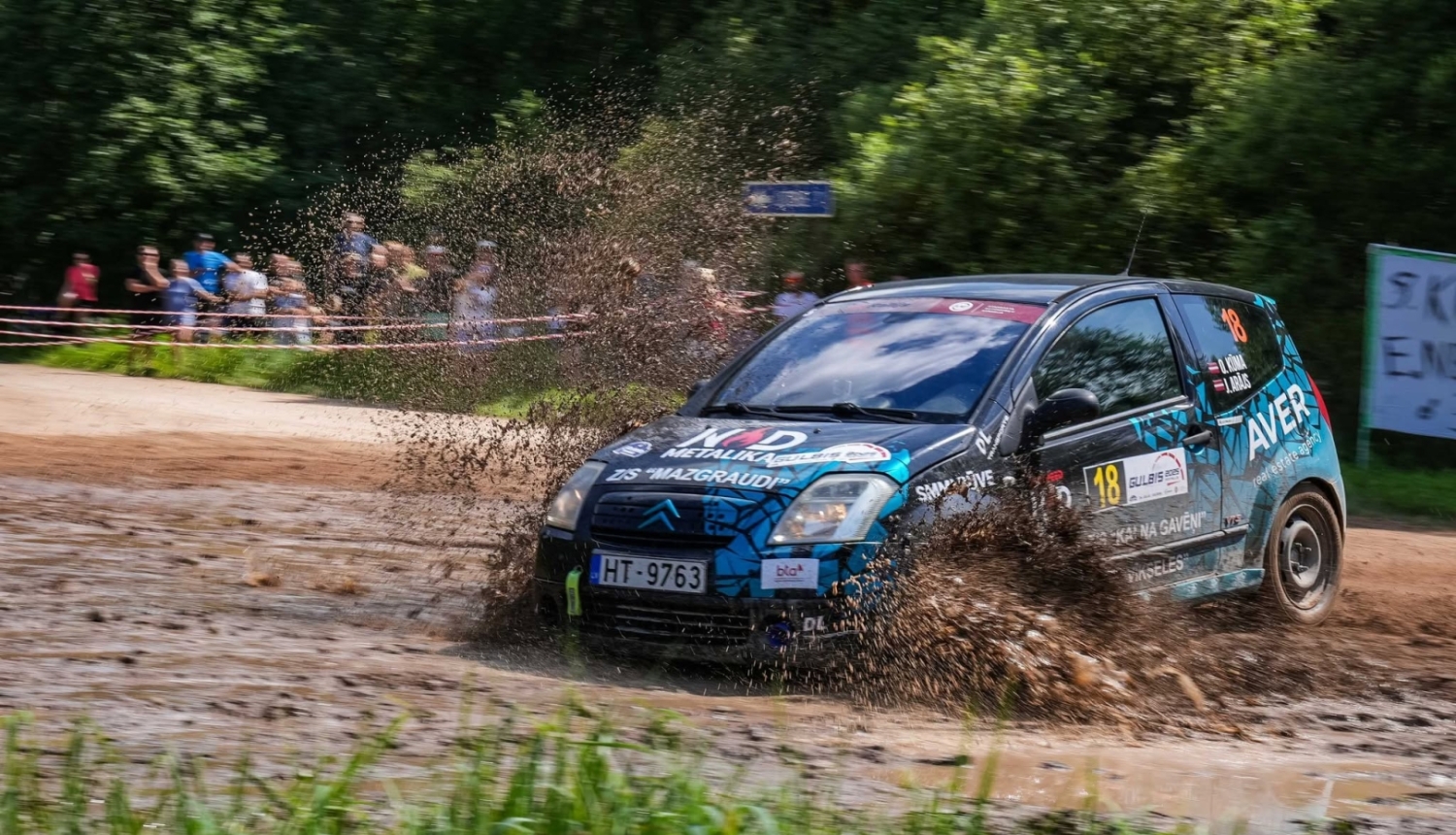 Rallijs
