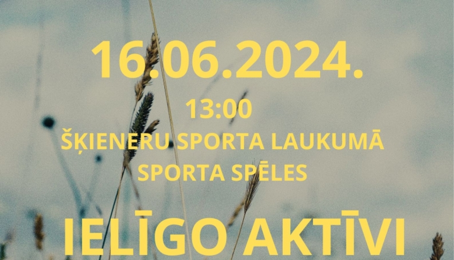 Ielīgo aktīvi