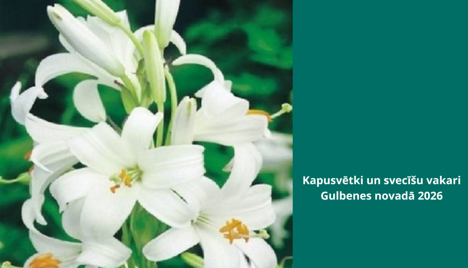 Kapiņi
