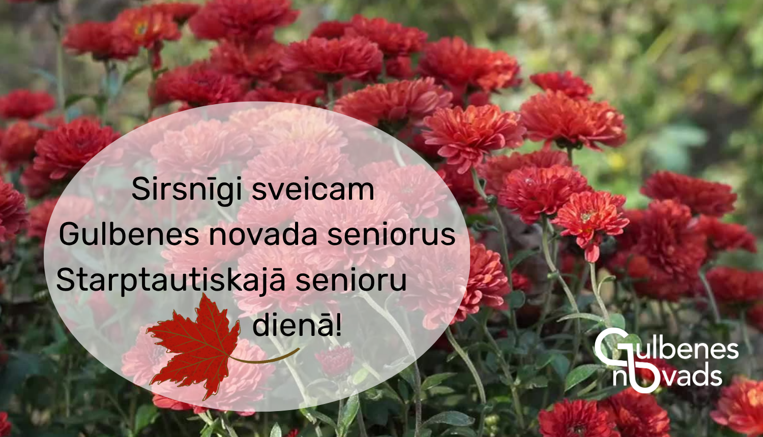 Attēls: Sveicam Senioru dienā