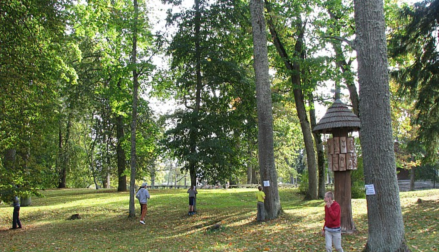 t_img_5944.jpg