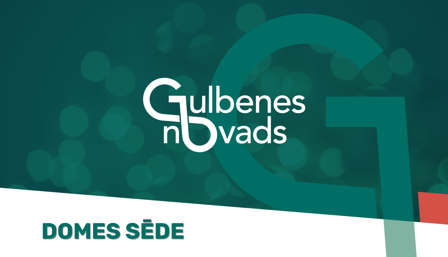 attēls: Gulbenes novada pašvaldības domes sēde