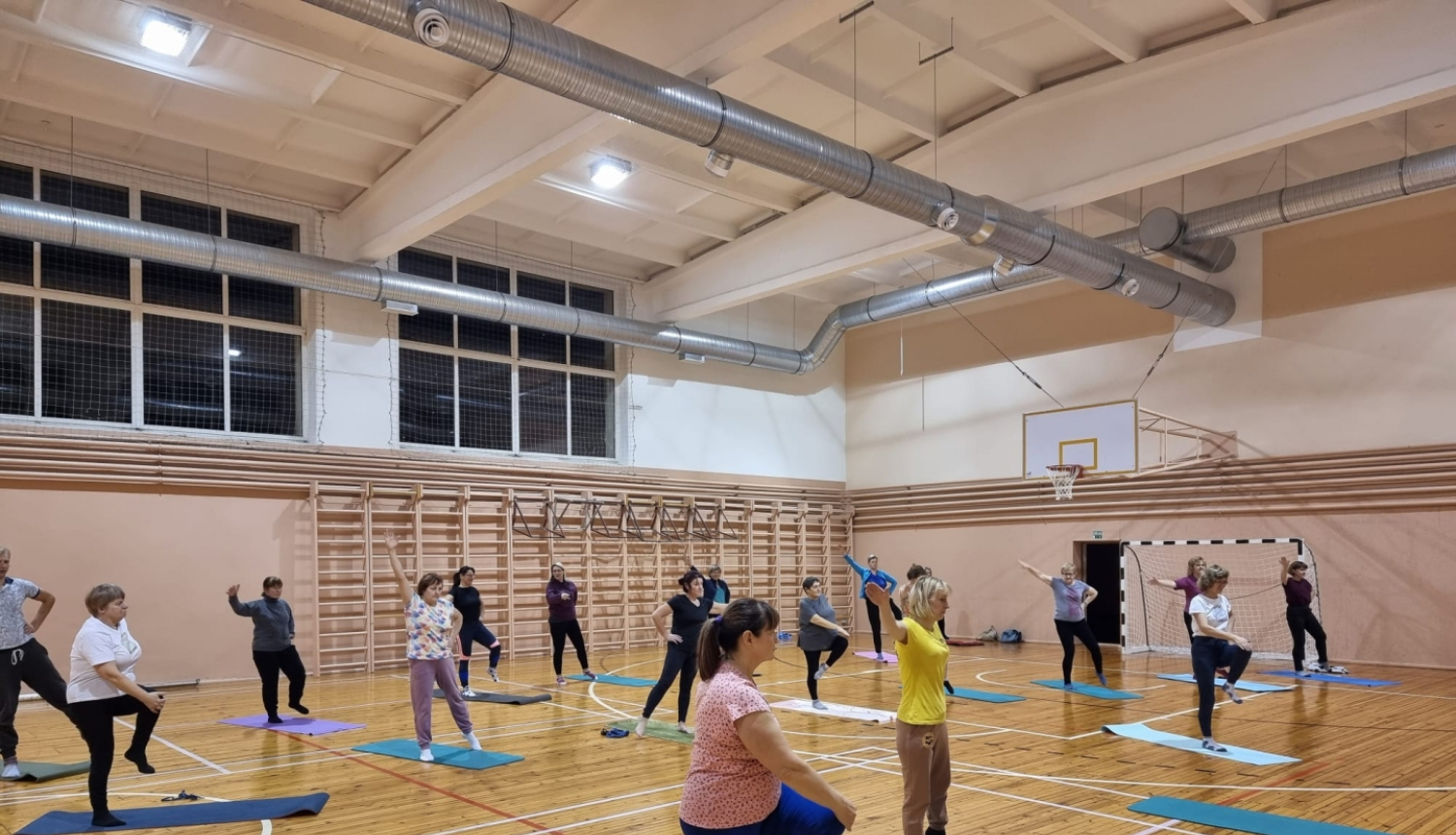 Attēls: veselības veicināšanas projektu aktivitātes