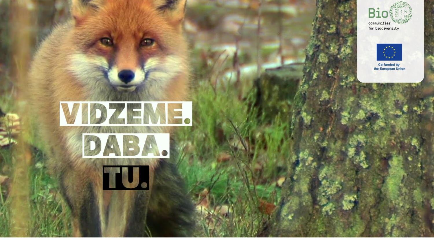 Daba