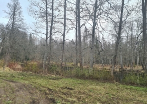 20210426_095234.jpg