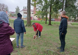 projekts_work_together