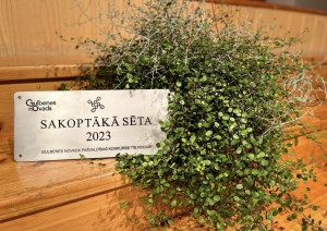 Attēls: konkursa Te rodas noslēguma pasākums