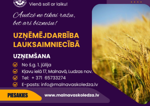 Malnavas koledža aicina studēt