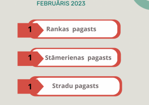 Gulbenes novada dzimtsarakstu nodaļas statistika par februāri, 2023