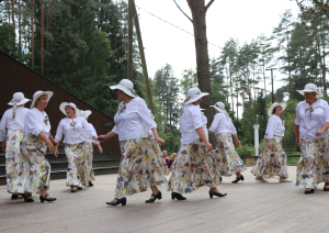 Gulbenes novada un draugu 15.senioru svētki "Kvēl saulespuķe rudenīgā" 