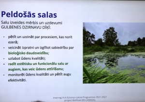 Diskusija par peldošās salas izveidi Dzirnavu dīķī Gulbenē. 