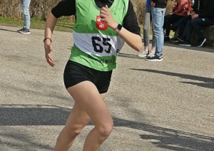 attels2