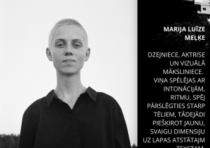 Attēls: Kultūras pasākums "Alternatīvās mūzikas un dzejas vakars Stāmerienas pilī"