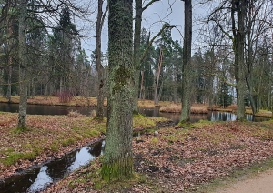 attels2