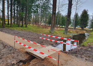 attels2
